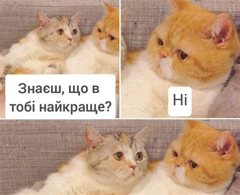 Создать мем "мемы с двумя котиками, коты, кошка" - Картинки - Meme ...