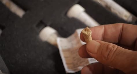 New Species of Ancient Humans Discovered in the Philippines