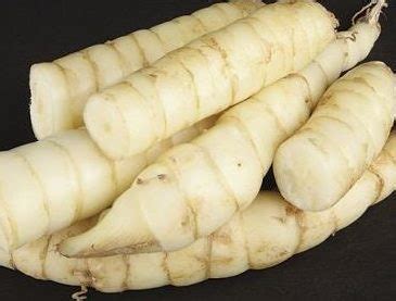 Arrowroot - seedlings