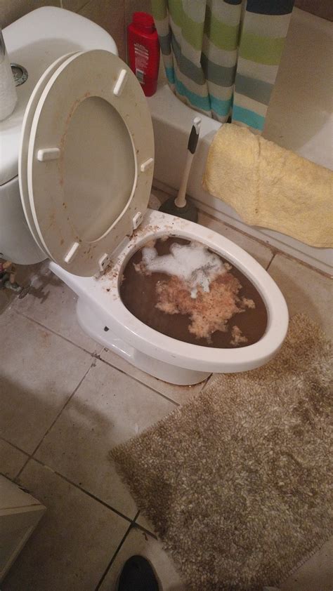 Overflowing clogged toilet and won't flush : r/Plumbing