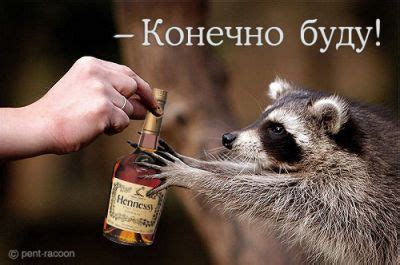 Ответы Mail.ru: Что такое бодун.И что происходит в голове после перепоя.