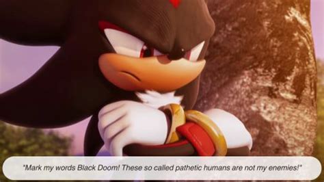 shadow  hedgehog quotes memorable lines