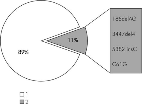 BRCA1 mutations found in Serbian breast and breast/ovarian cancer ... 