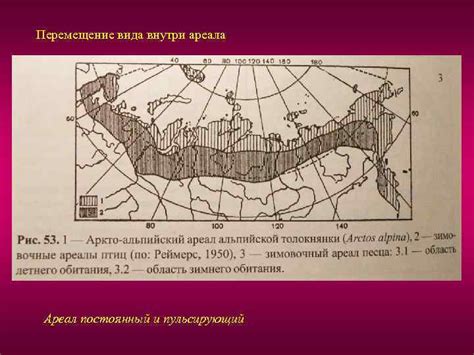 Ареал Характеристика и типология Графическое изображение ареала