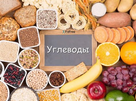 Углеводы: все, что вам нужно знать | FitFree