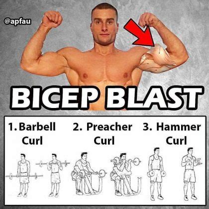 Upper Body Training & Superset Biceps Blast