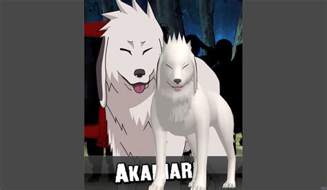 Akamaru by o0Cristian0o on DeviantArt