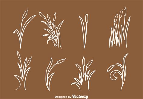 hand drawn reeds collection  vector art  vecteezy