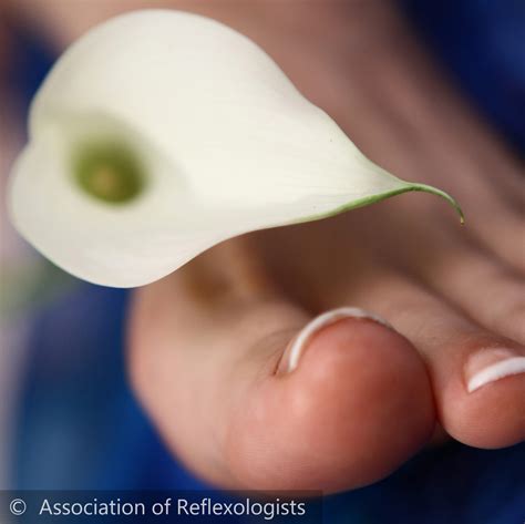 Vertical Reflexology – Vertical Reflex Therapy (VRT)