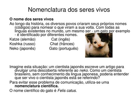 Nomenclatura Dos Seres Vivos - PPT - Classificação dos Seres Vivos PowerPoint Presentation, free ...