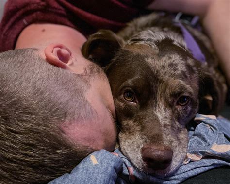 Rhea loves to cuddle her daddy. : r/rarepuppers
