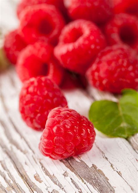 raspberry troo