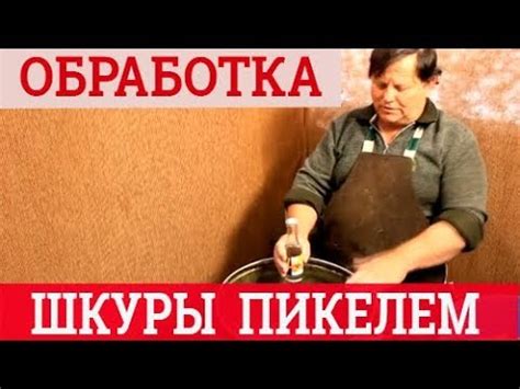 Пикелевание шкуры. Выделка шкур - YouTube
