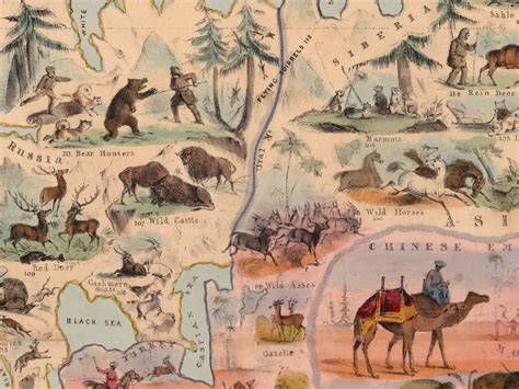 Zoological World Map – GeoJango Maps