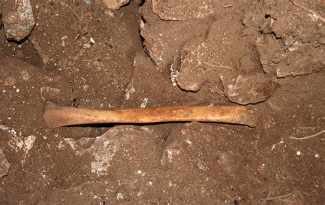 Manipulated and Utilized: The Tale of Ancient Human Remains in Spanish