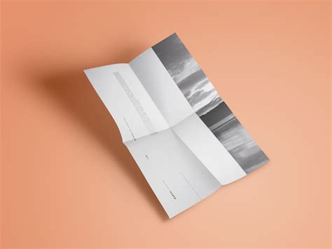 kapiti  gabo  dribbble