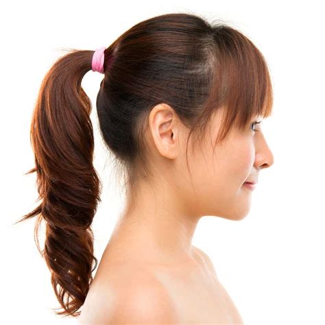 ponytail definition  meaning collins english dictionary