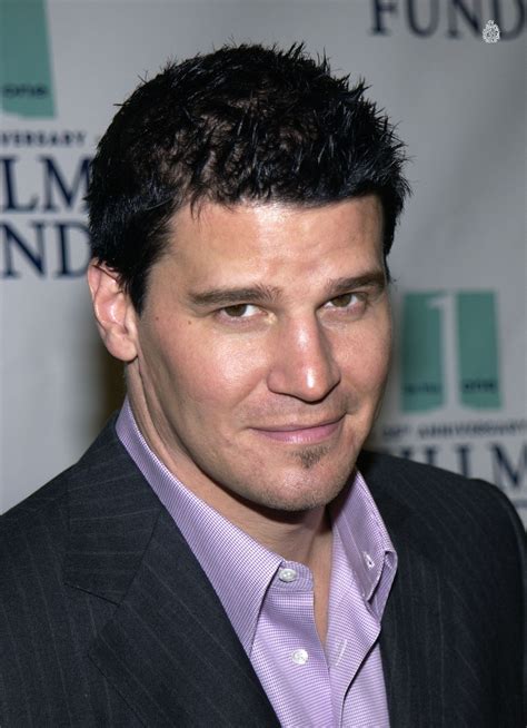 David Boreanaz Office