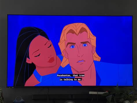 In Pocahontas (1995) this scene has John Smith talking with Grandma the