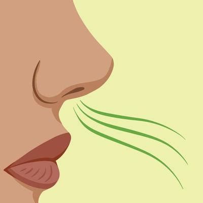 Smelling Food Vector Art, Icons, and Graphics for Free Download