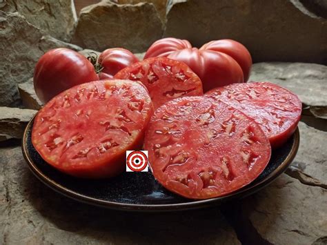 R.W. Cephei Tomato Seeds For Sale At Bounty Hunter Seeds!
