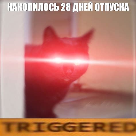 Мем: "НАКОПИЛОСЬ 28 ДНЕЙ ОТПУСКА" - Все шаблоны - Meme-arsenal.com