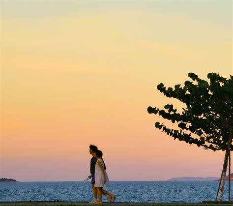 hoang hon viet boi thanhlong