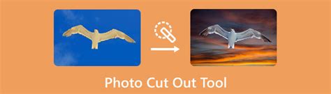 photo cut  tool  offline   android  ios