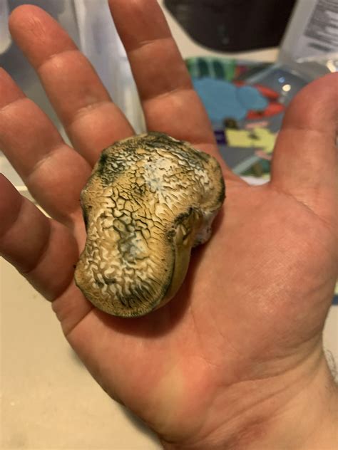 Mutant blob in my PE bin. Got a few smaller ones poking through too : r ...