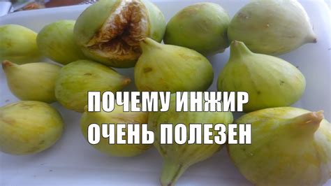 ИНЖИР ВСЯ ПОЛЬЗА ИНЖИРА КОМУ НЕЛЬЗЯ ЕСТЬ ИНЖИР - YouTube