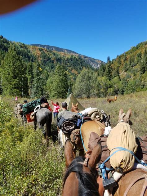 New pack mule | Page 5 | Rokslide Forum