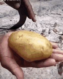 The Shirk Report – Volume 581 » TwistedSifter