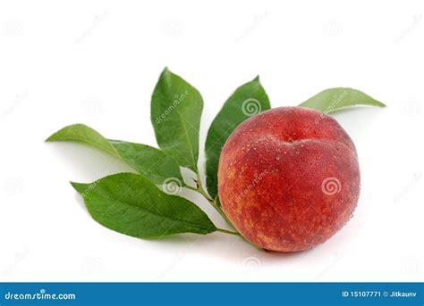 perzik stock afbeelding image  blad perzik vrucht