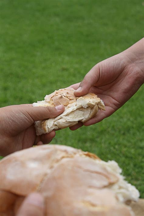 give bread  stock photo public domain pictures