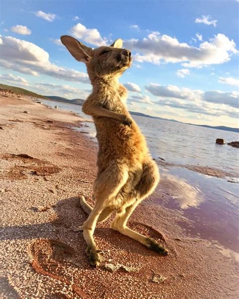 Heartwarming Photos That Will Make Your Day A Whole Lot Better