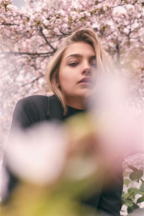 sakura  behance
