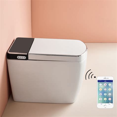 Best Smart Toilets : Elevate Your Bathroom with Luxury and Innovation ...