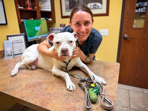 campbell park animal hospital 3