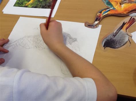 img hatch drawing   archive