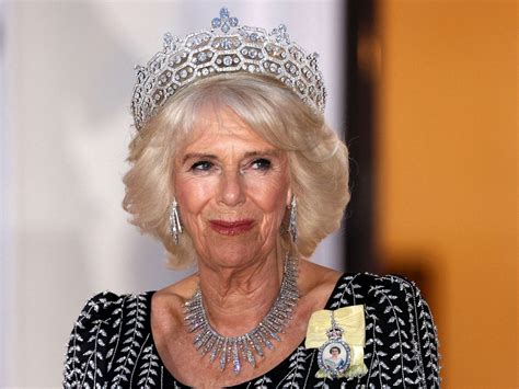 Camilla OnlyFans: The Public's Reaction - Truth or Fiction
