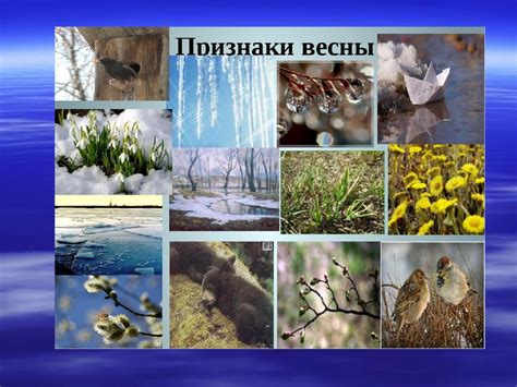 Весенние изменения в природе - презентация онлайн