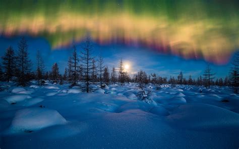 Winter Aurora Borealis Wallpapers | HD Wallpapers | ID #19672
