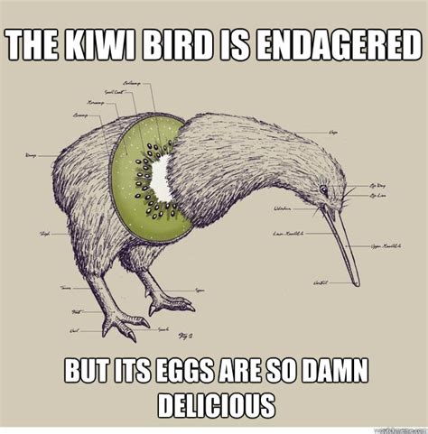 the kiwi bird is endagered but its eggs are so damn delicious ...