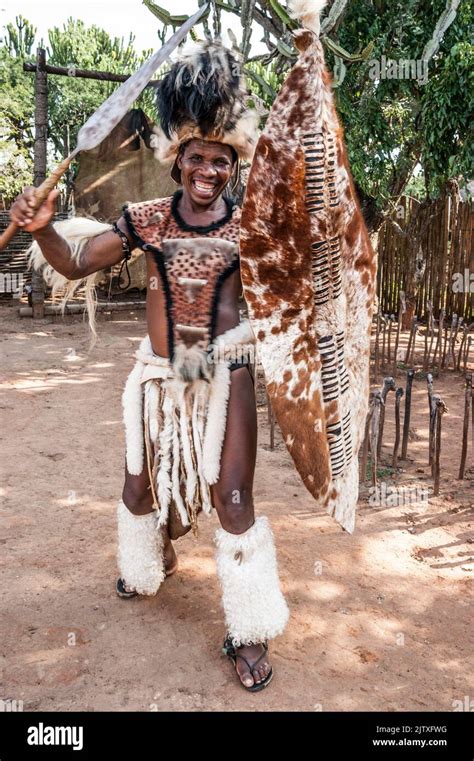 Local dressed as a Zulu warrior. Shakaland Zulu Village. KwaZulu-Natal, South Africa Stock Photo ...