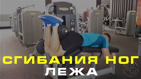 СГИБАНИЯ НОГ ЛЕЖА - YouTube