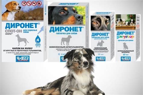 Диронет для собак: инструкция по применению | отзывы, цена таблеток