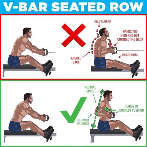 How to Do Seated Cable Row With Proper Form - weighteasyloss.com ...