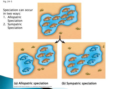 Speciation & Evolution: Allopatric vs. Sympatric