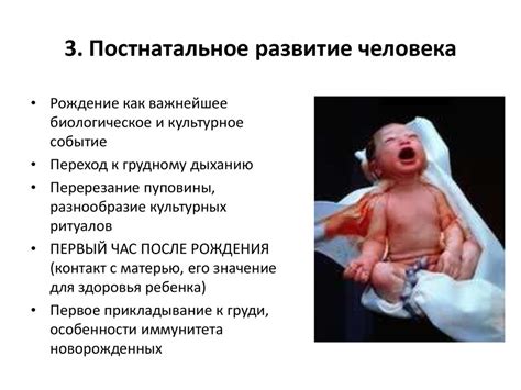 Жизненный цикл человека - презентация онлайн
