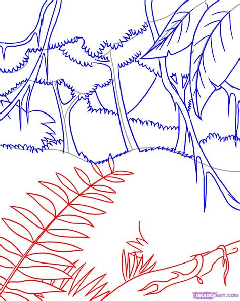 Tropical Rainforest Drawing at PaintingValley.com | Explore collection ...